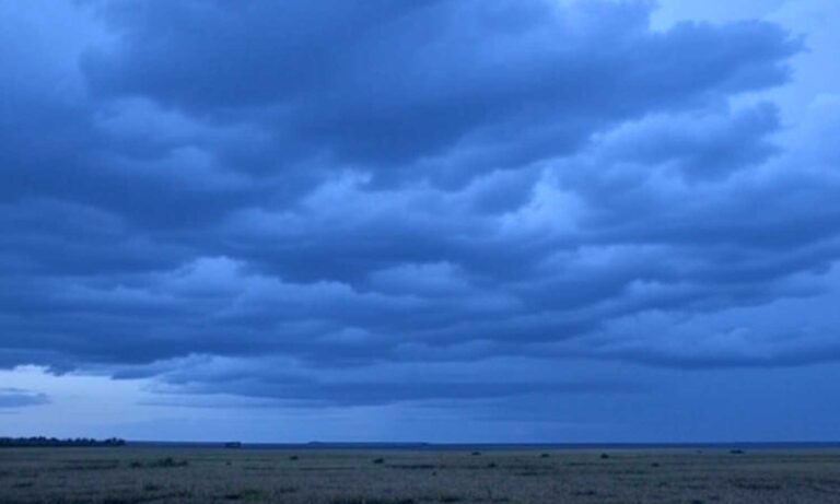 Heavy Rains