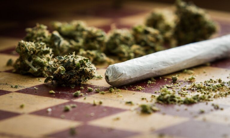 Marijuana Seizure