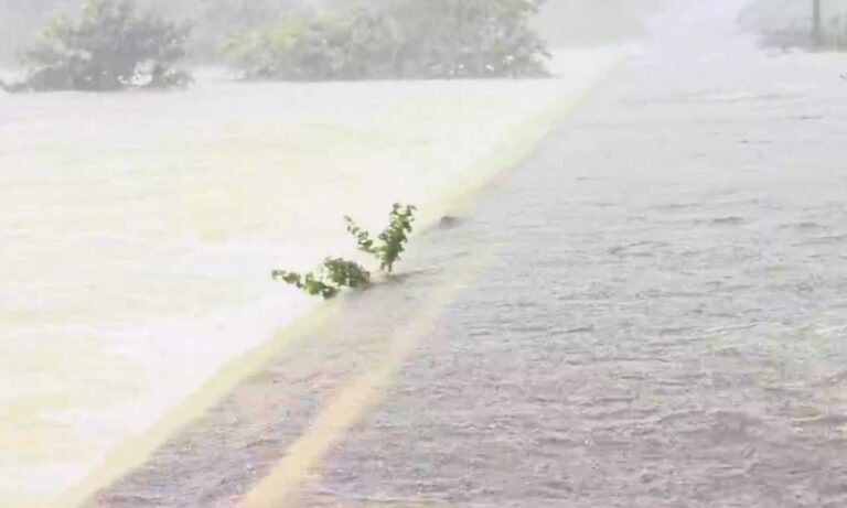 Heavy Rains
