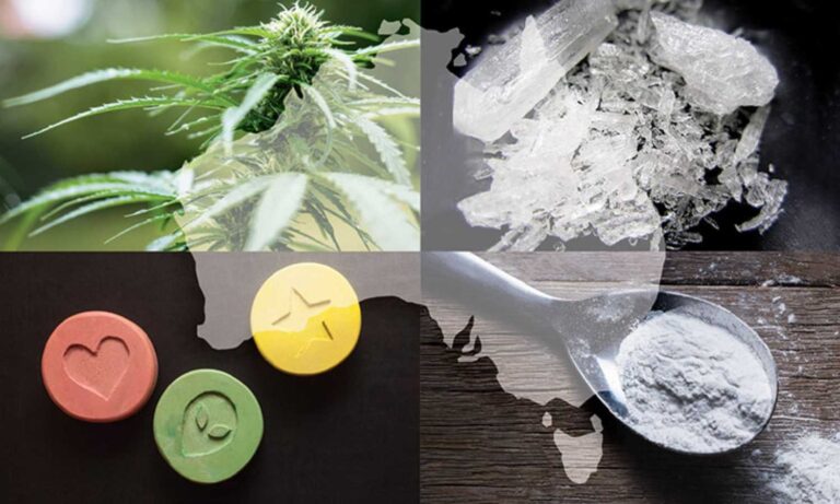 Drug Bust