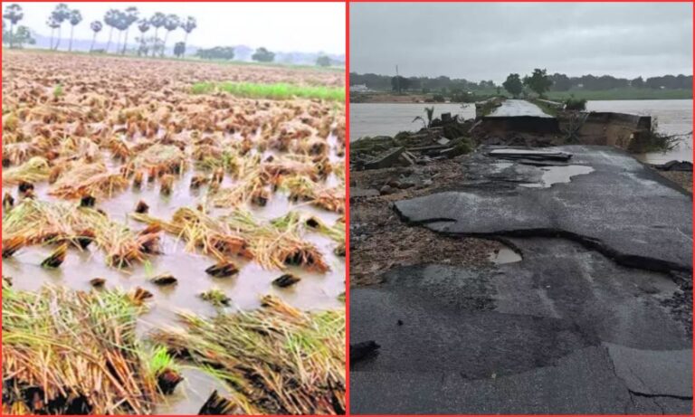 Flood Losses