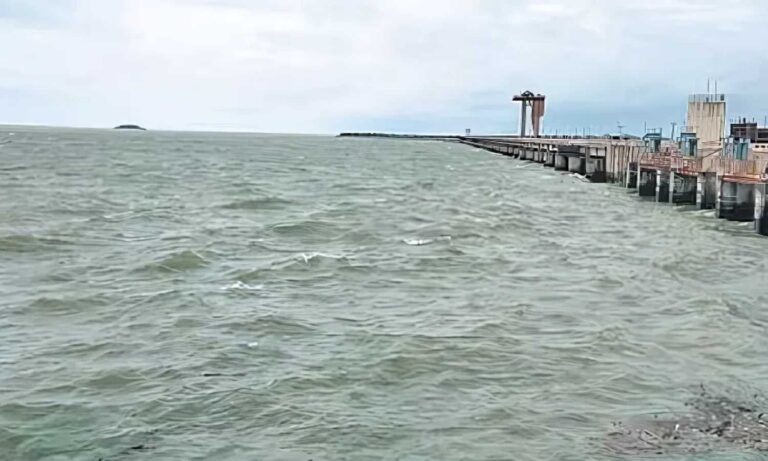 Godavari basin