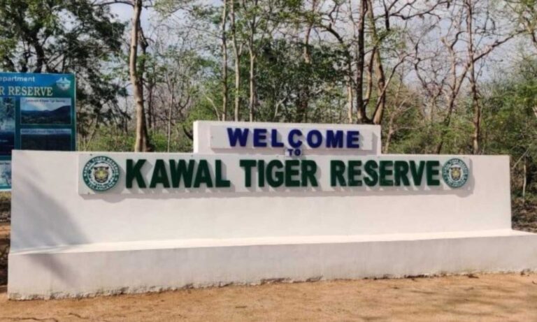 Kawal Tiger Reserve