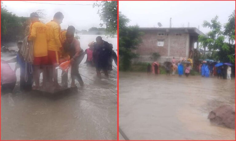 Checkdam Rescue