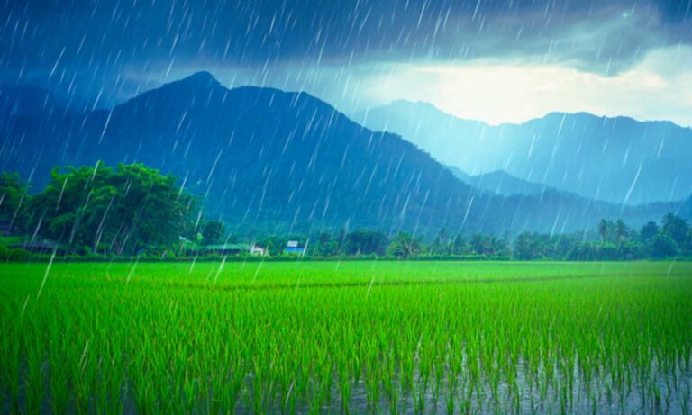 Telangana Floods