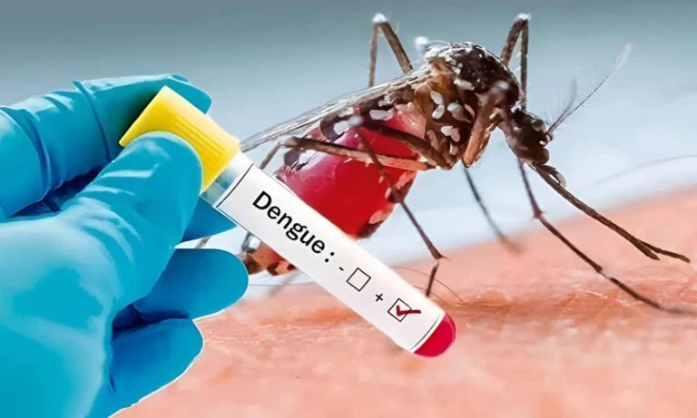 Dengue