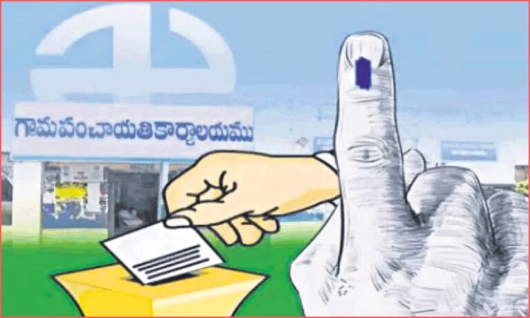 Local Body Elections