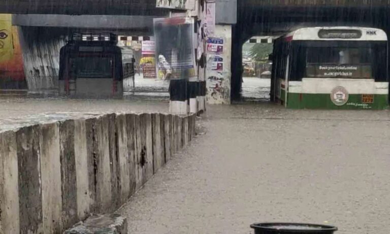 Warangal Rainfall