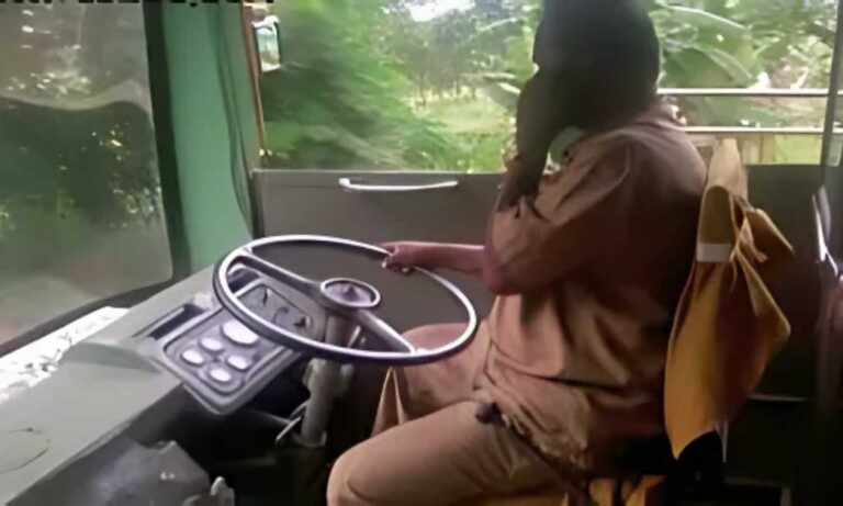 Telangana RTC