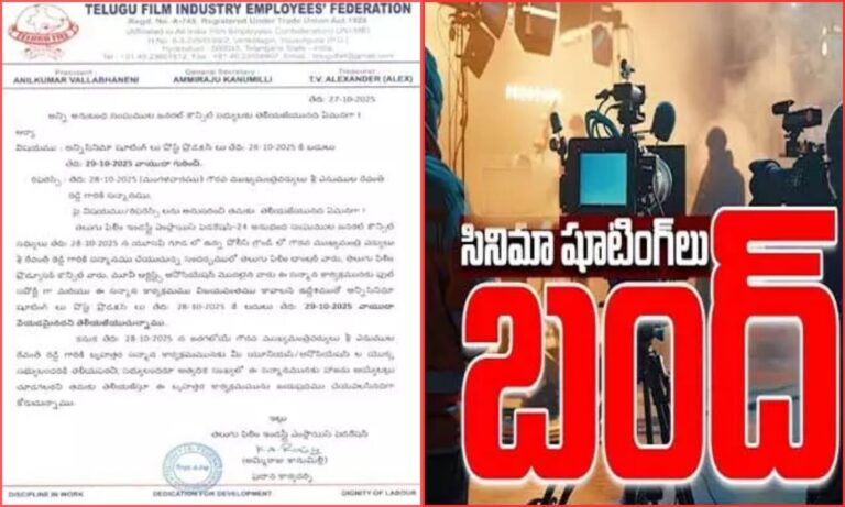 Film Federation