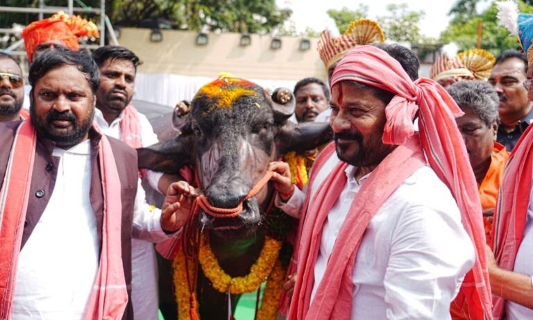 Sadar Festival