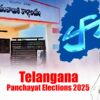 Panchayat Results