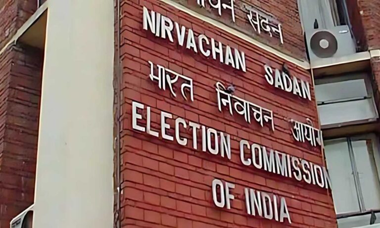 Voter Revision