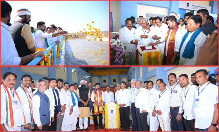 Irrigation Launch