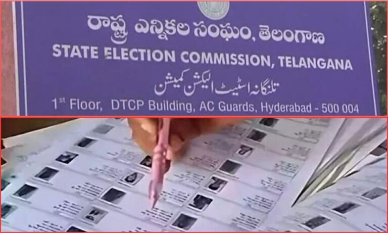 Municipal Elections