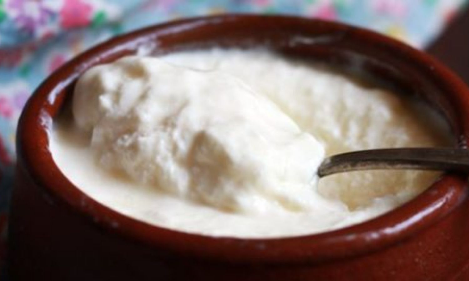 Adulterated Curd