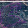 Forest Land Verdict
