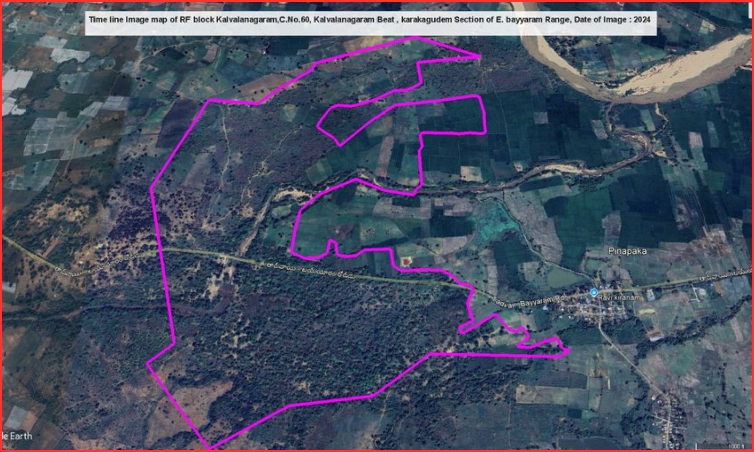 Forest Land Verdict
