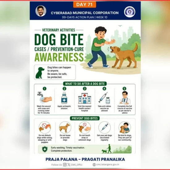 Dog Bite Safety