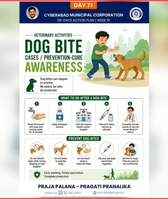 Dog Bite Safety
