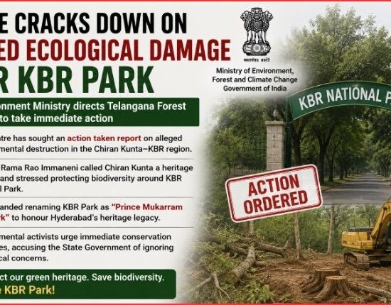 Ecological Damage