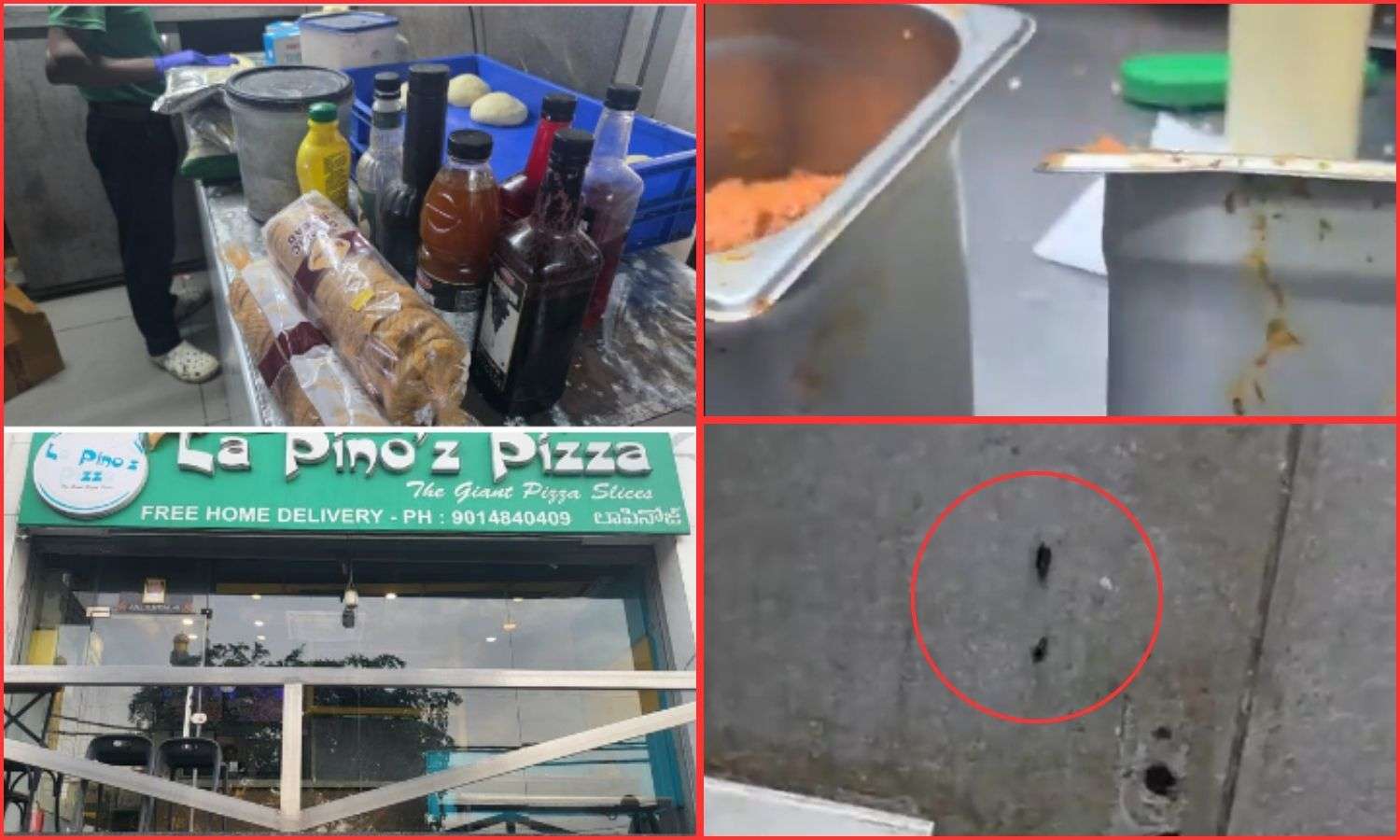 Pizza Hygiene Violations