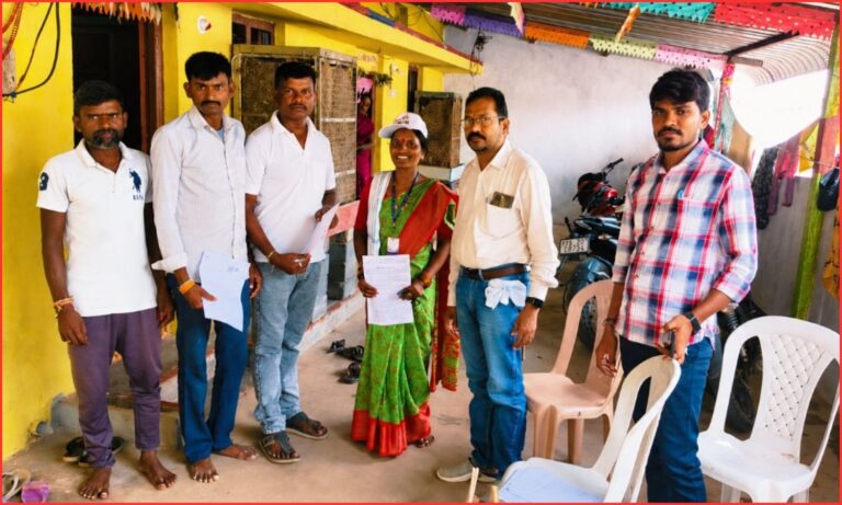 Voter Enumeration