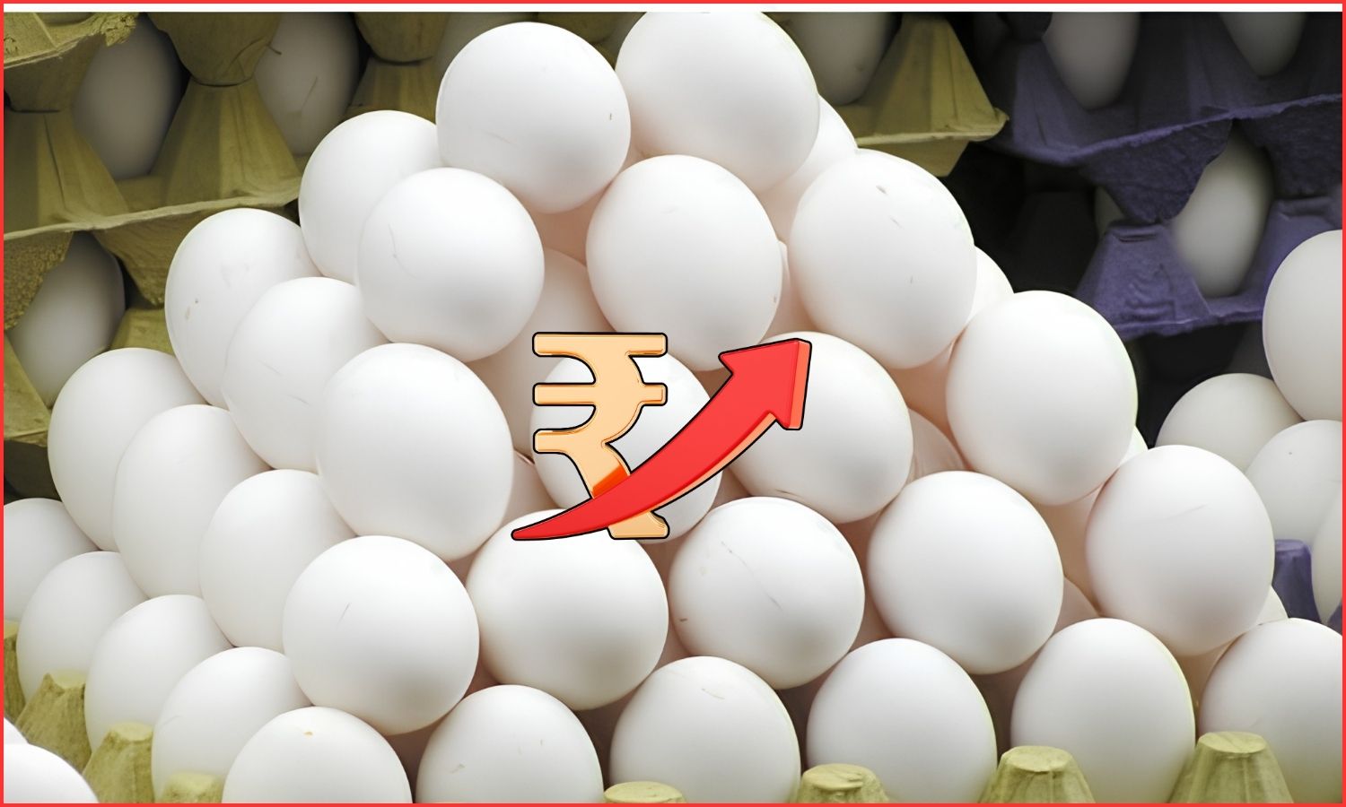 Egg Prices