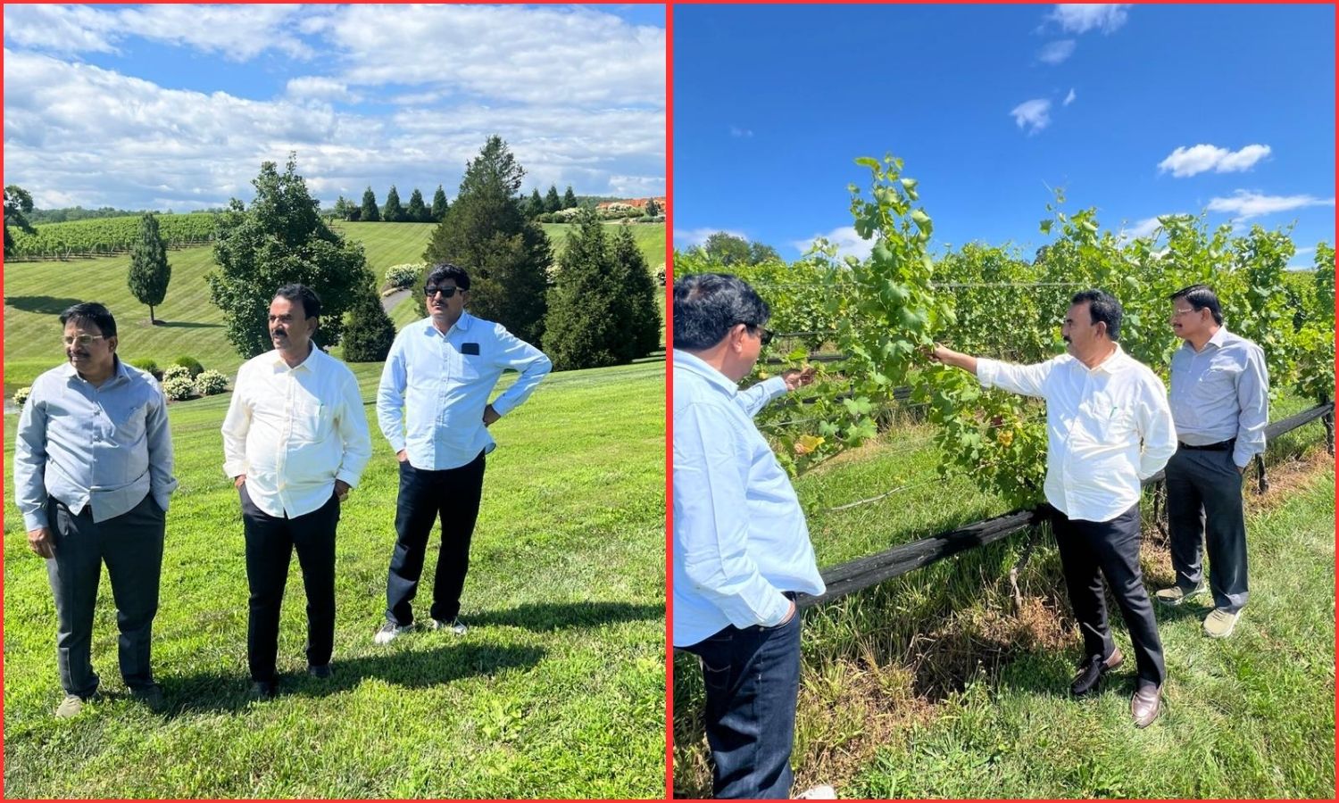 تلنگانہ میں وائن ٹورازم کا نیا منصوبہ | Wine Tourism