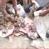 Seafood Seizure