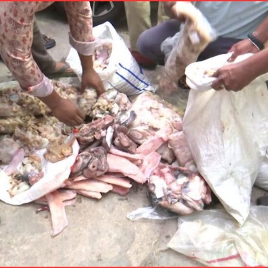Seafood Seizure