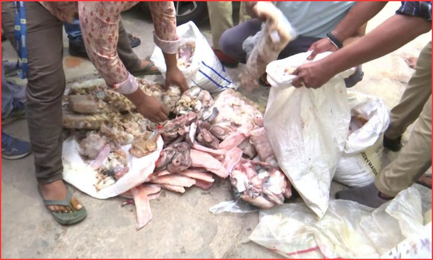 Seafood Seizure