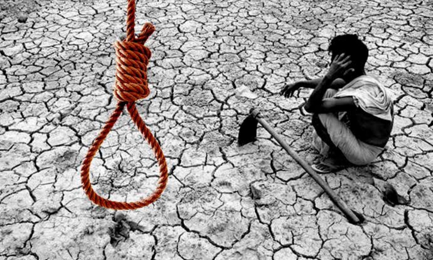 Telangana Farm Crisis