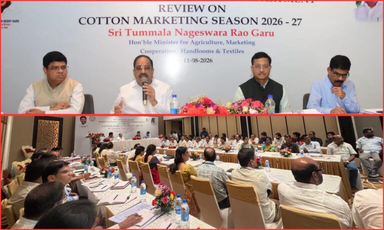 کپاس خریداری کے لیے بڑے انتظامات | Cotton Procurement