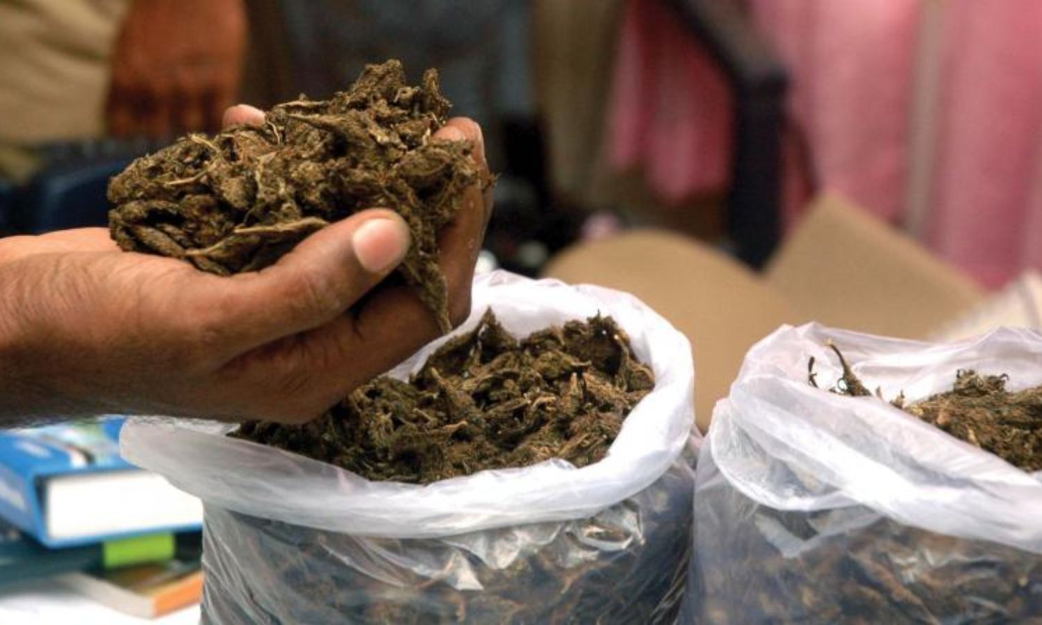 قطب اللہ پور میں 30.3 کلو گانجہ ضبط | Ganja Seizure