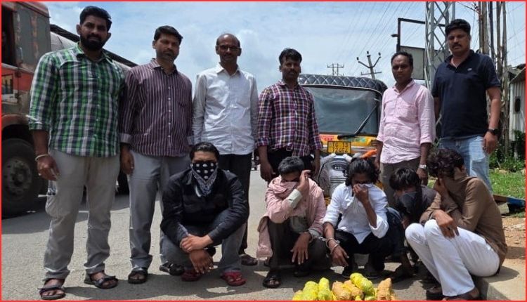 حیدرآباد میں آٹو رکشہ کے اسپیکر باکس میں چھپائی گئی 6 کلو گانجہ برآمد، ایگل فورس نے 5 ملزمان کو گرفتار کیا | Ganja Smuggling