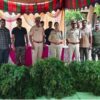 آصف آباد میں گانجا کی کاشت بے نقاب | Asifabad Ganja Cultivation