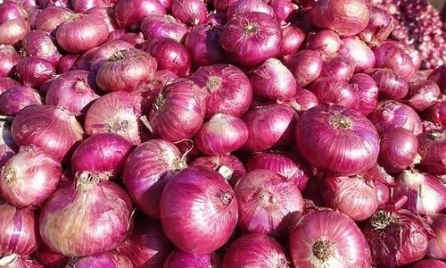 پیاز کی قیمتوں میں اضافہ | Onion Price Rise
