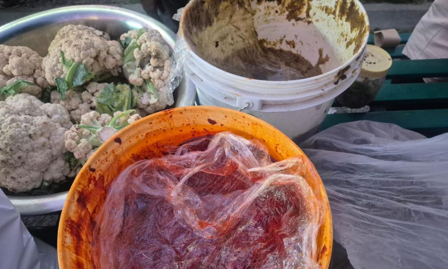 کوکٹ پلی میں فوڈ سیفٹی خلاف ورزیوں پر بڑا ایکشن | Food Safety Crackdown