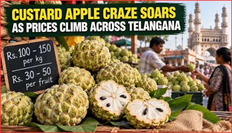 تلنگانہ میں سیتا پھل کی قیمتوں میں اضافہ | Custard Apple Prices